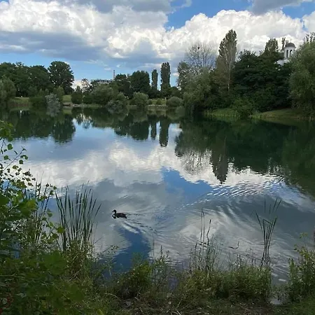 Affittacamere Druzba Apart&conference *