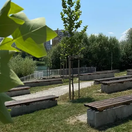 Druzba Apart&conference Affittacamere