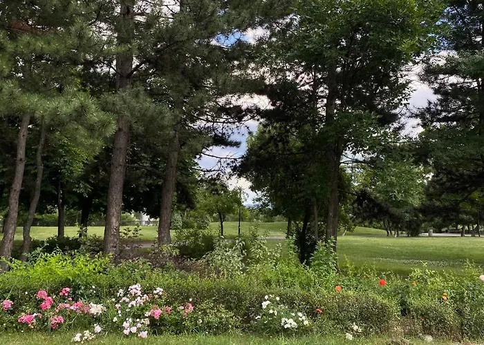 Gasthuis Druzba Apart&conference